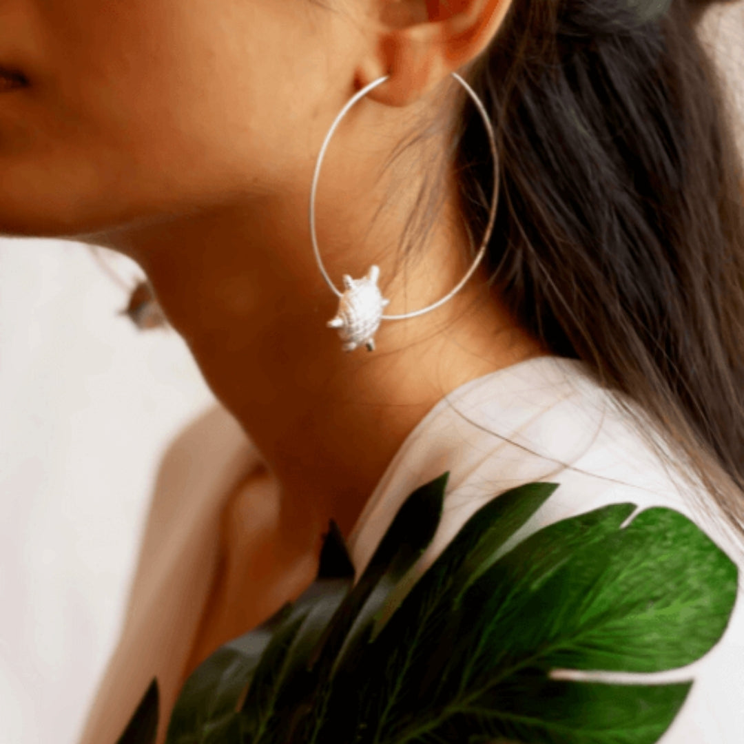 Tortoise Hoops