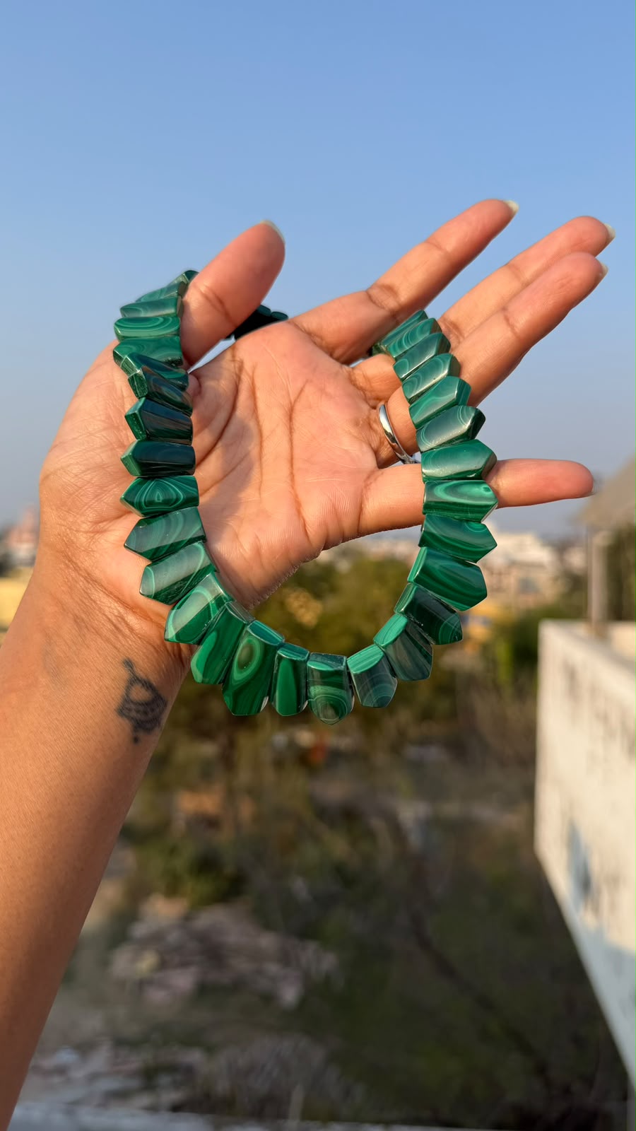 Neck Collar