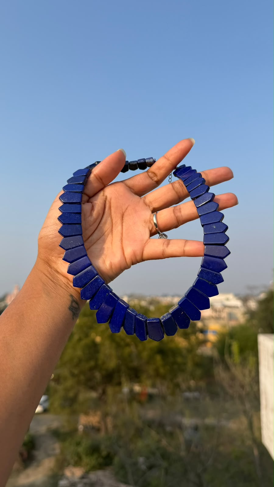 Neck Collar